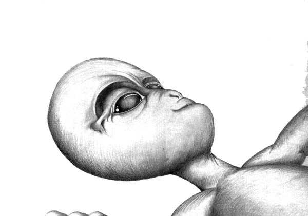 Alien drawing by ©Steven Ingersole