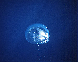 Delacate Orb